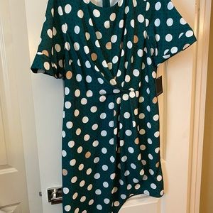 Eloquii dress size 18